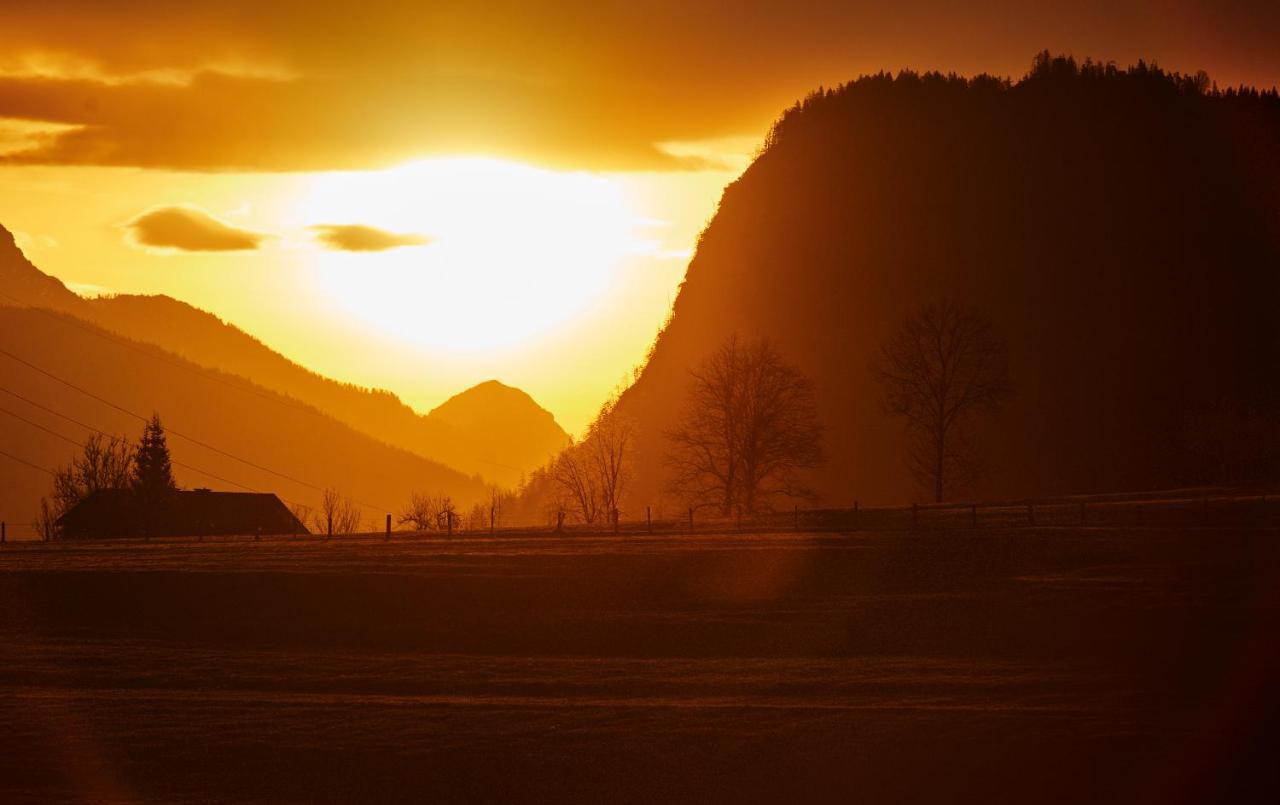 Appartement Eckwald Altenmarkt-Zauchensee อัลเทนมาร์คท์ อิม พองเงา ภายนอก รูปภาพ